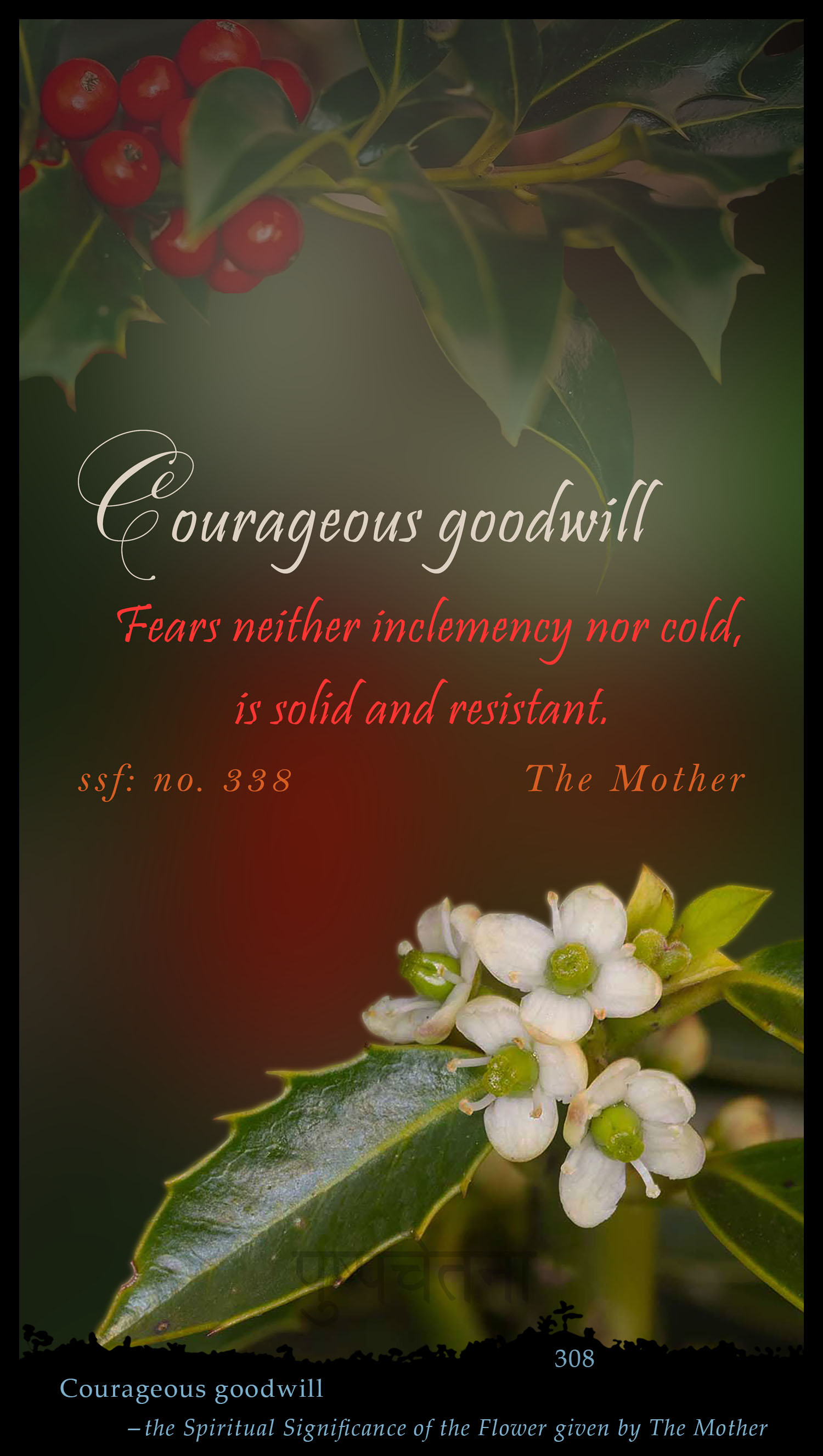 Courageous Goodwill